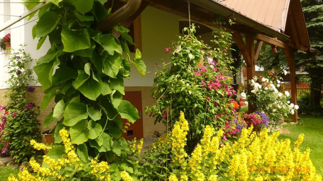 U Votapku Apartman Nove Hute Kültér fotó